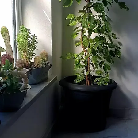 Casa Villaggio Pirandello Gasthof *