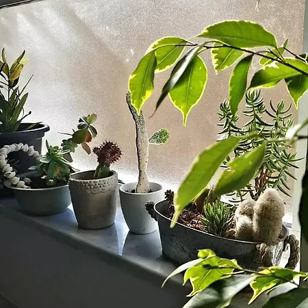 Casa Villaggio Pirandello