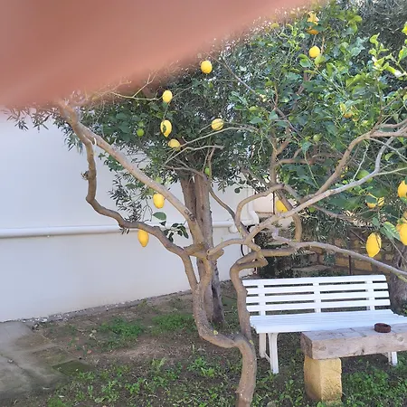 Casa Villaggio Pirandello Affittacamere Agrigento