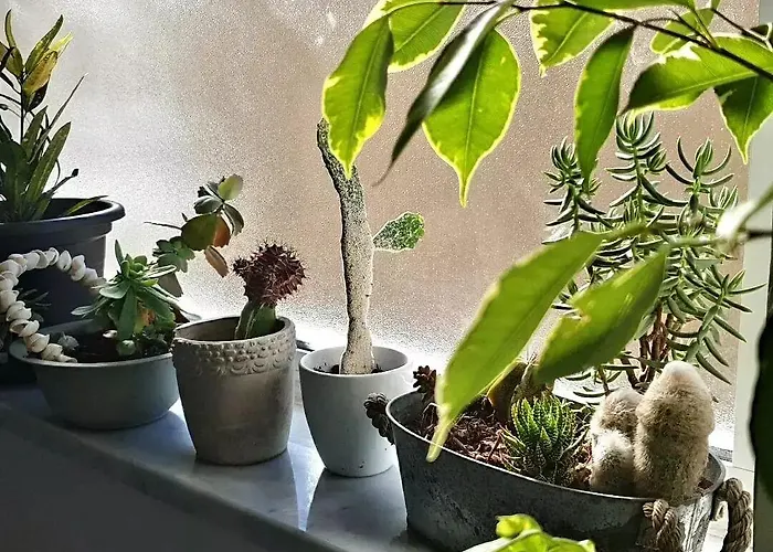 Casa Villaggio Pirandello