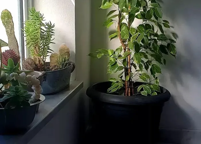 Casa Villaggio Pirandello Affittacamere *